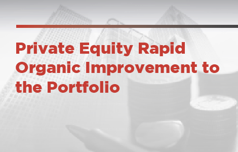 Private Equity Rapid Organic Improvement to the Portfolio