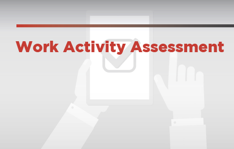 Work Activity Assessment 