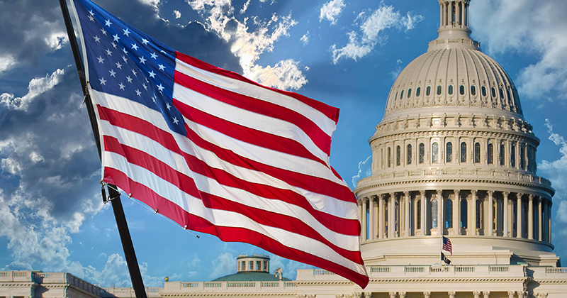 American Flag and Capitol_Canva.png