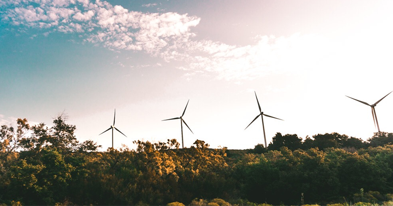Renewable Energy with Wind turbines_Canva.png