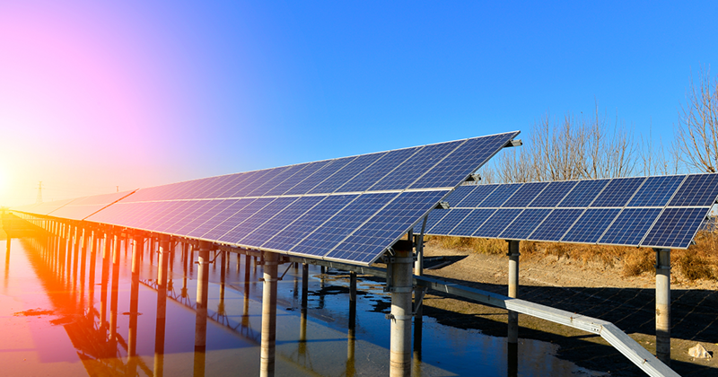 solar farm with sun flare_Canva.png